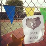 4/11/13 - Basha v. Gilbert